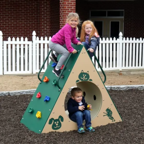 Climbing Wall with Tunnel