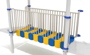 Max Series Uncovered Bones Replacement Bridge