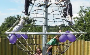 Climbing Whirl