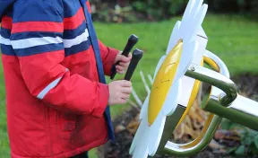 Daisy Petal Drum