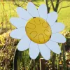 Daisy Petal Drum thumbnail 3