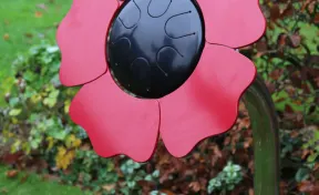 Poppy Petal Drum