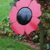 Poppy Petal Drum thumbnail 1