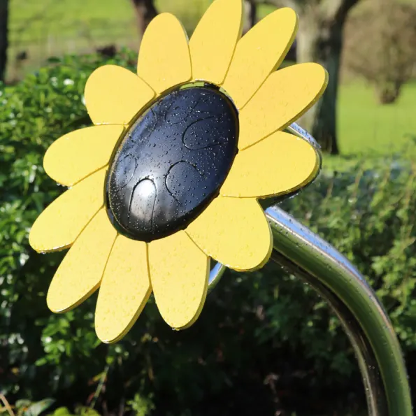 Sunflower Petal Drum