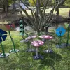 Freenotes Botanical Garden  Ensemble thumbnail 12
