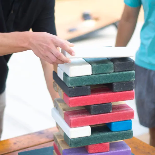 Frog Blocks™ Game