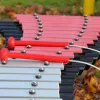 Duo Outdoor Instrument thumbnail 5