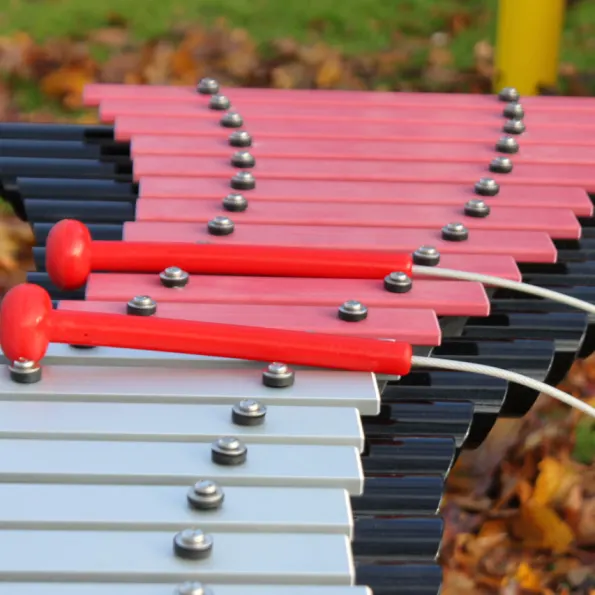 Duo Outdoor Instrument