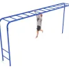 Straight Overhead Scaling Ladder thumbnail 2