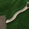 9 Ft Single Zig Zag Embankment Slide thumbnail 3