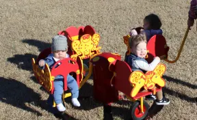Carrington's Carousel