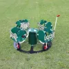 Carrington's Carousel thumbnail 6