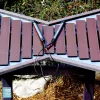 Freenotes Island Ensemble thumbnail 3