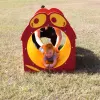Silly Sam Single Tunnel thumbnail 1