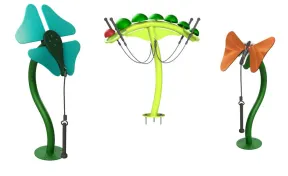 Metamorphosis Ensemble