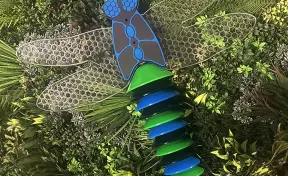 Dragonfly Outdoor Instrument