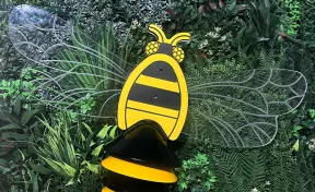 Bumblebee Outdoor Instrument