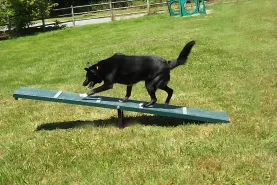 Agility & Balance