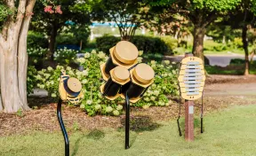 Conga Hive Ensemble Collection