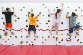 Wall Climbers