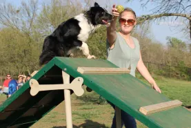 Dog Parks