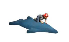 Dolphin Play Climber