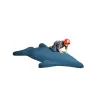 Dolphin Play Climber thumbnail 1