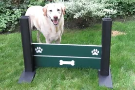Recycled Dog Parks