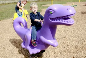 Spring Riders & Bouncers