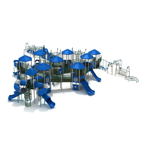 Washington Inclusive Play Structure