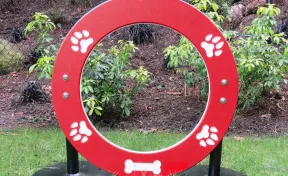 Spaniel Single Hoop Jump